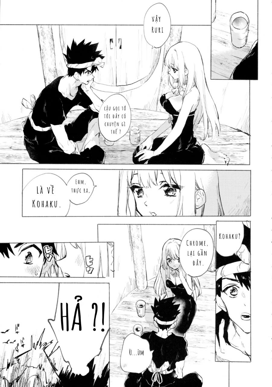 mùa hè rực rỡ trong thế giới đá - Chap 1 - 1