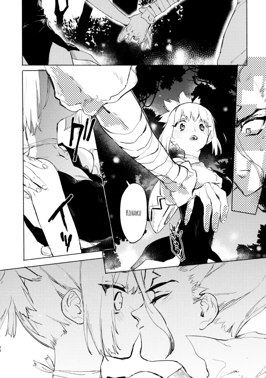 mùa hè rực rỡ trong thế giới đá - Chap 1 - 22