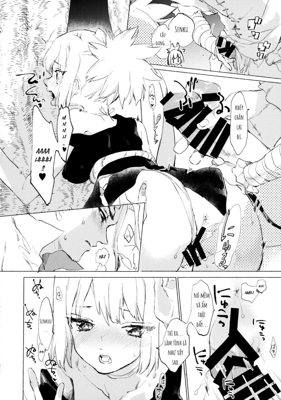 mùa hè rực rỡ trong thế giới đá - Chap 1 - 26