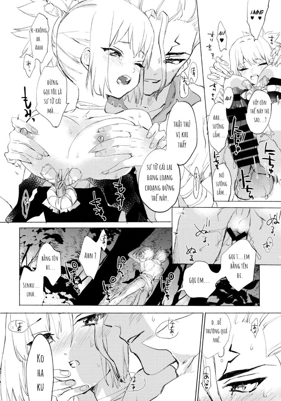 mùa hè rực rỡ trong thế giới đá - Chap 1 - 28