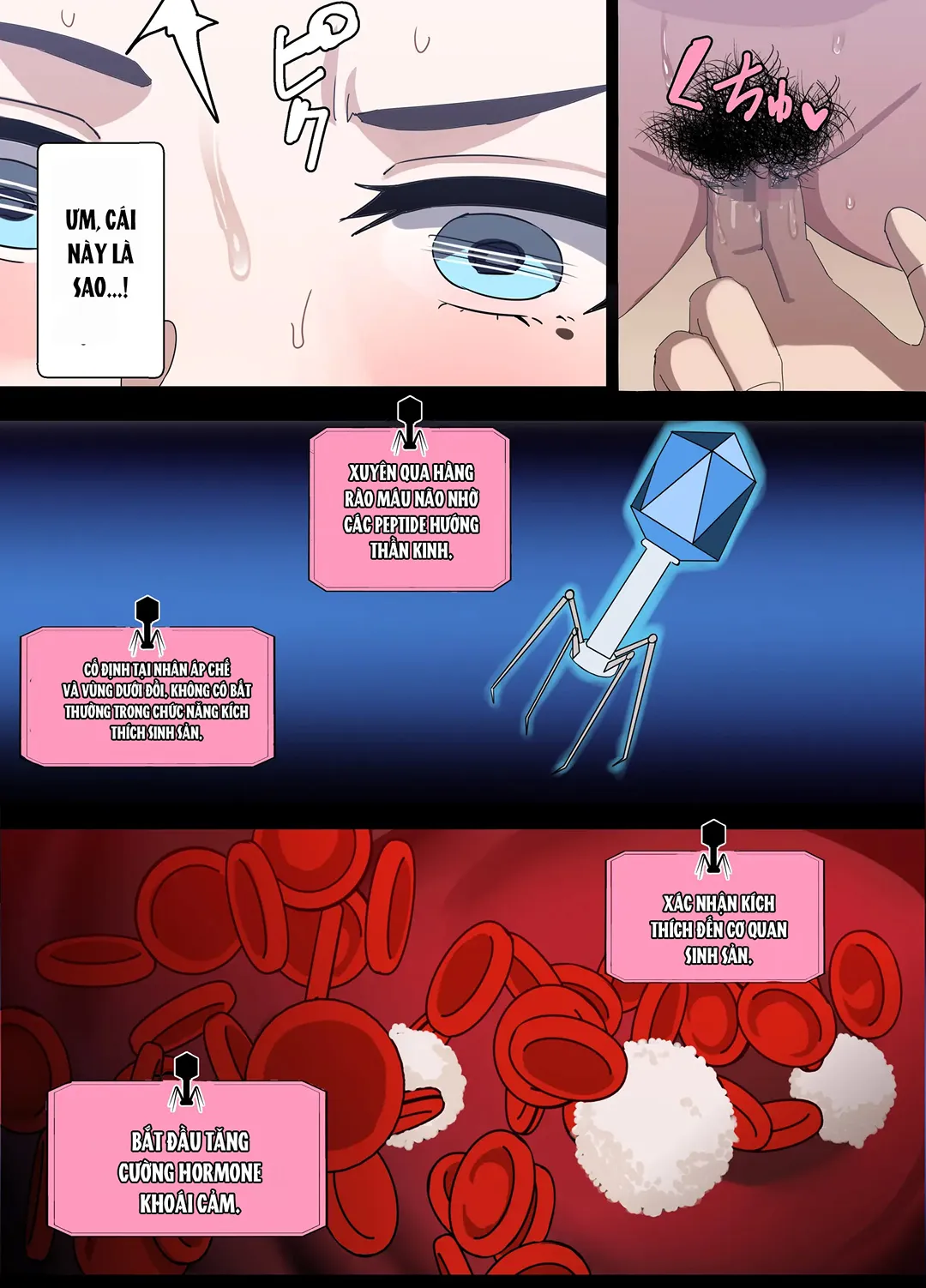 Đạo luật biến vợ người thành lỗ chịch - Chap 2 - 7