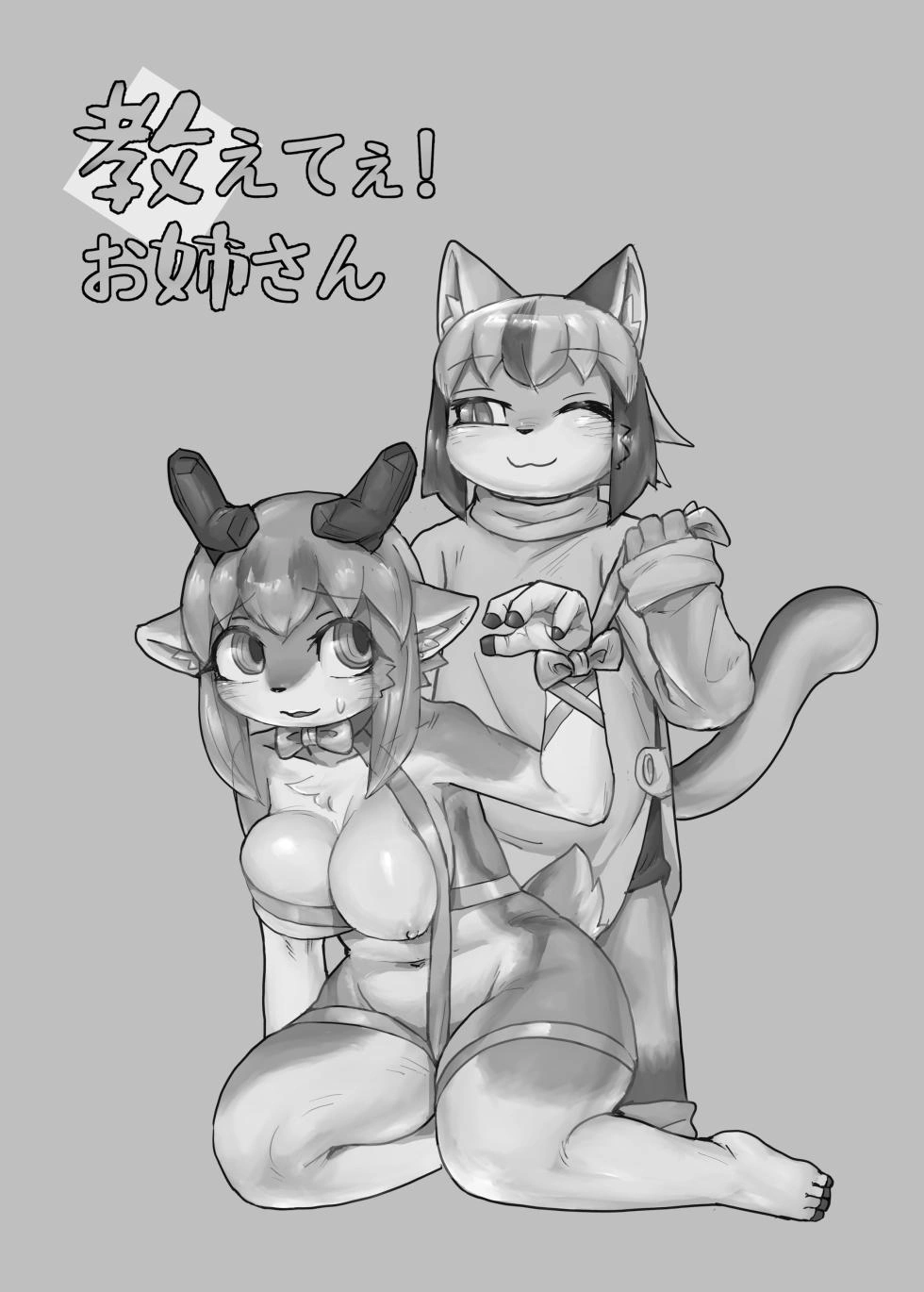 Dạy giúp em đi mà! Onee-san - Chap 1 - 3