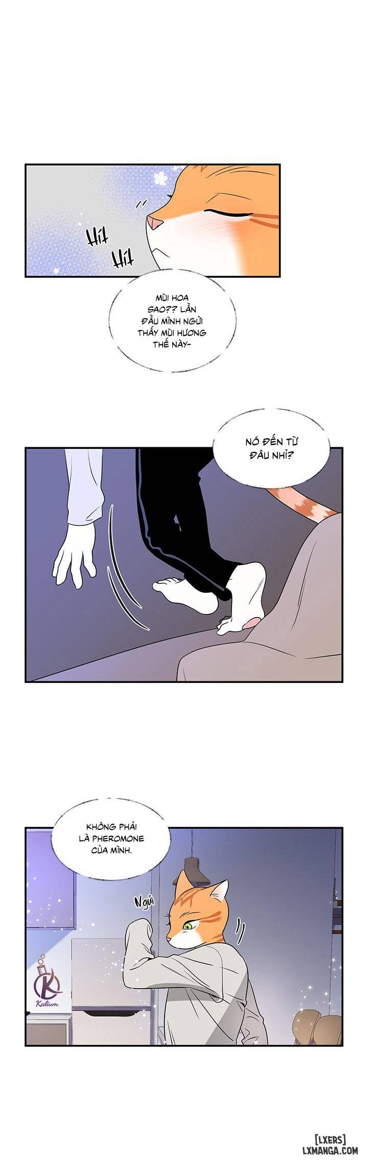 Dự án xanh - Chap 1 - 22