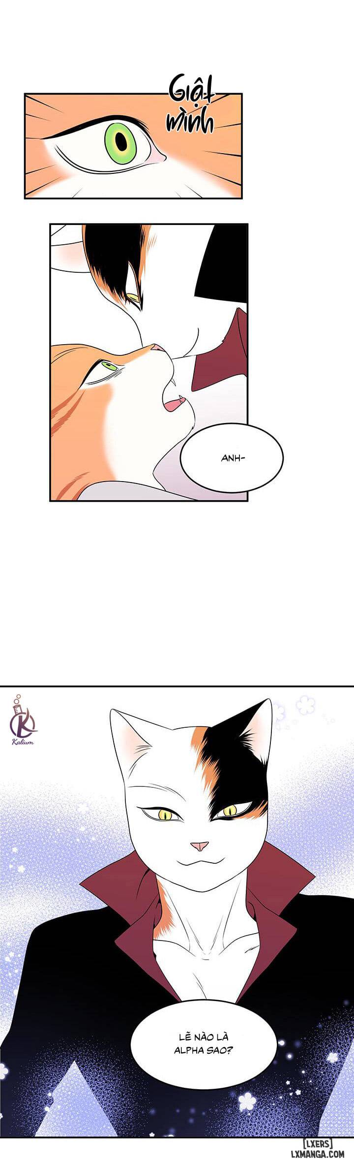 Dự án xanh - Chap 1 - 30