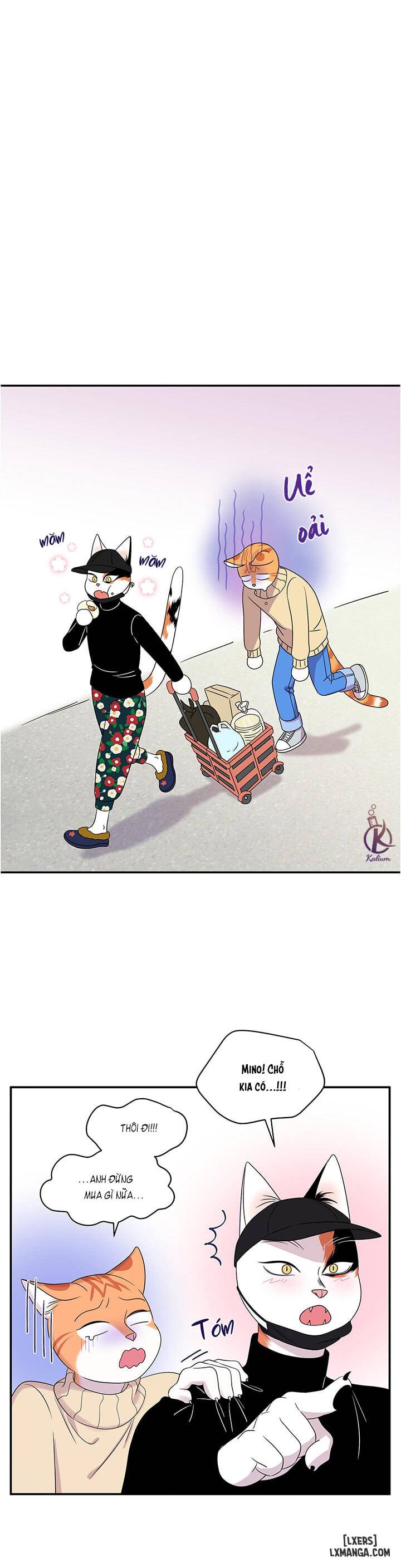 Dự án xanh - Chap 4 - 21