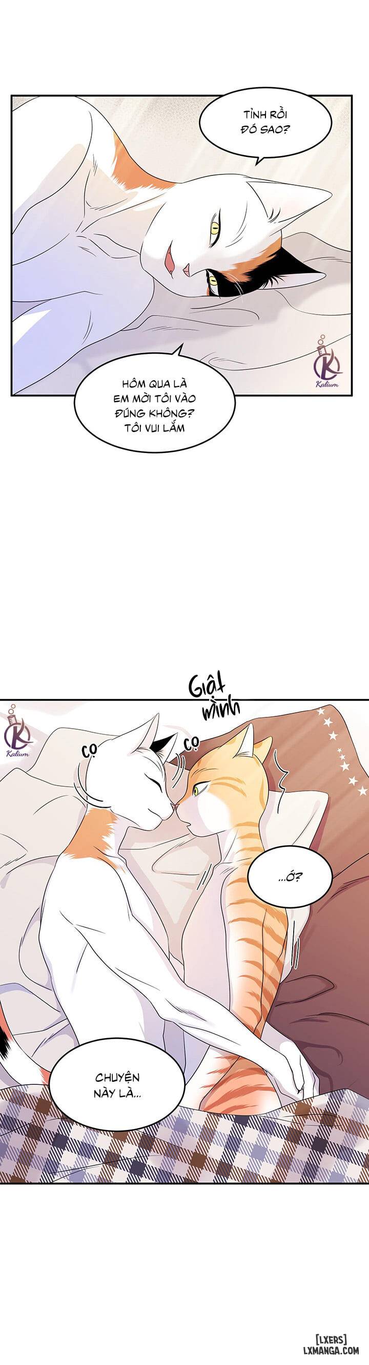 Dự án xanh - Chap 3 - 26