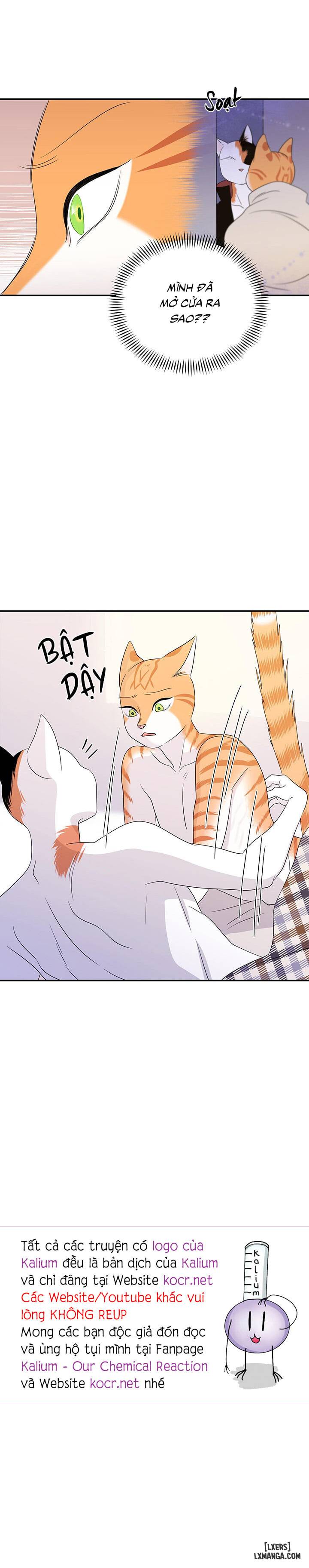 Dự án xanh - Chap 3 - 27