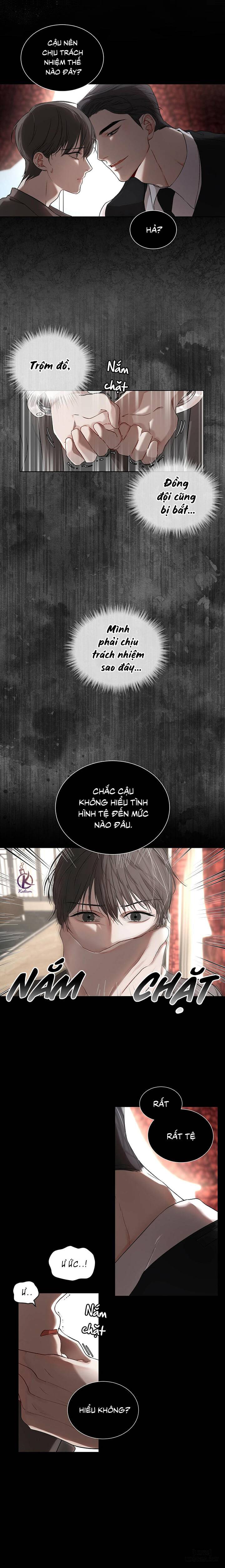 Hình thái khởi sinh - Chap 5 - 5