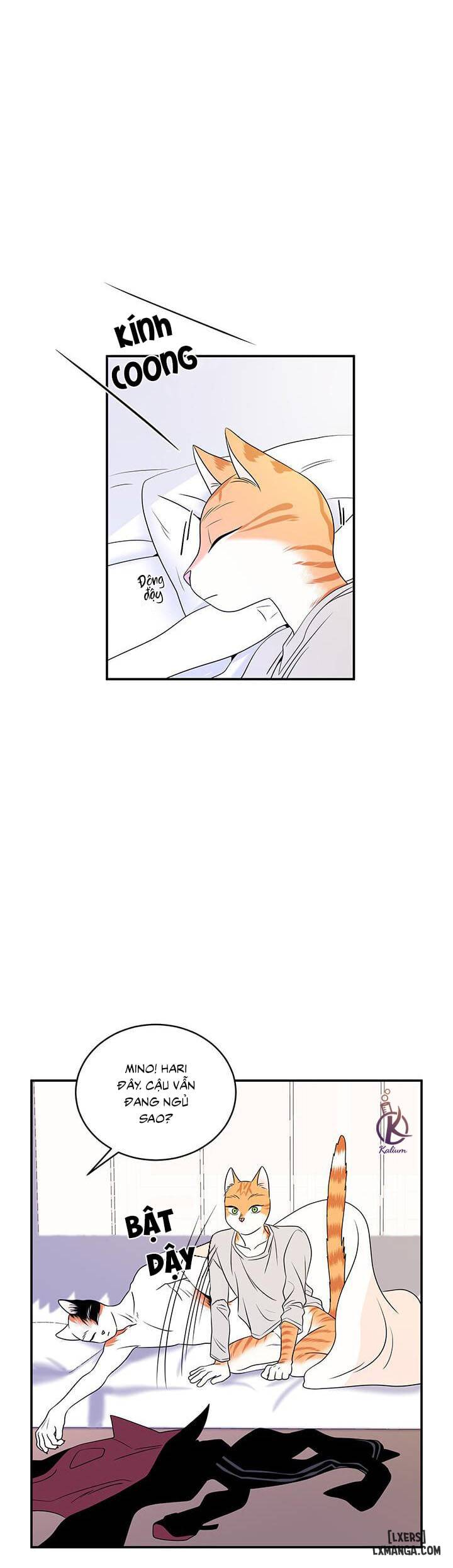 Dự án xanh - Chap 2 - 14