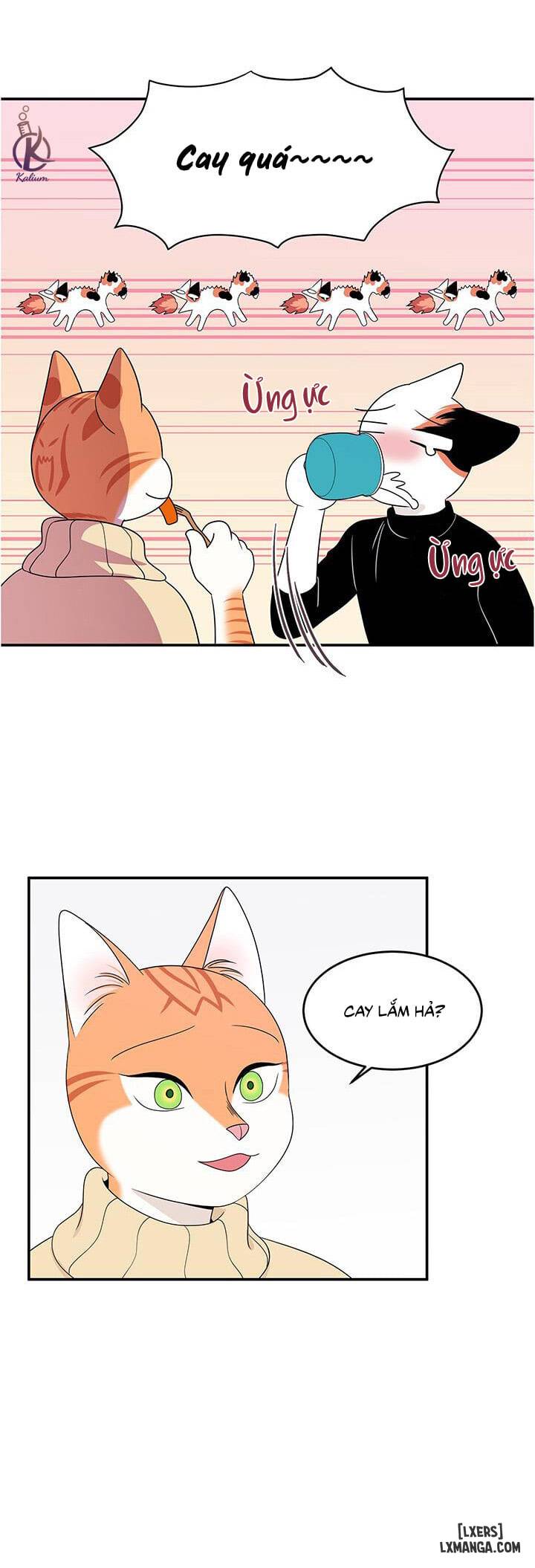 Dự án xanh - Chap 5 - 13