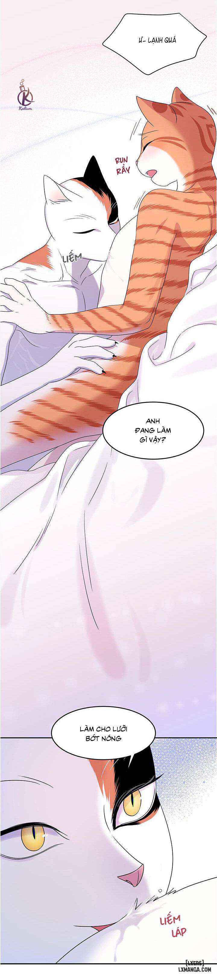 Dự án xanh - Chap 5 - 28