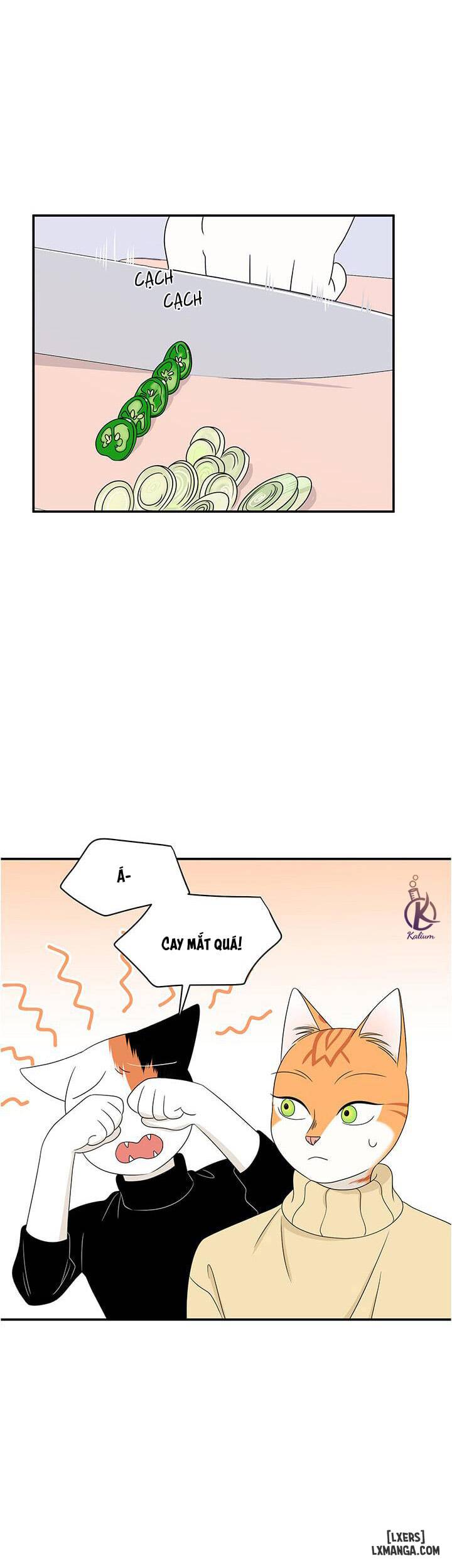 Dự án xanh - Chap 5 - 3