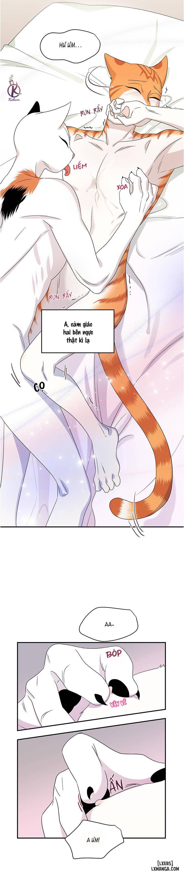 Dự án xanh - Chap 5 - 30