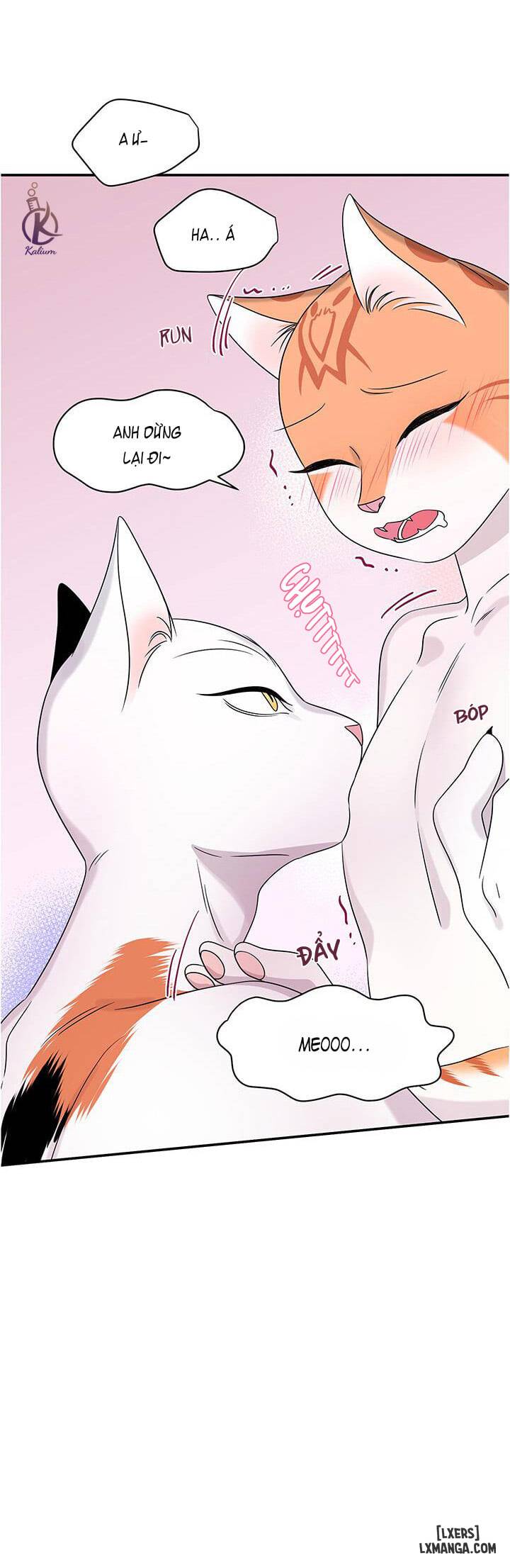 Dự án xanh - Chap 5 - 32