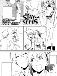 Stay Seeds
