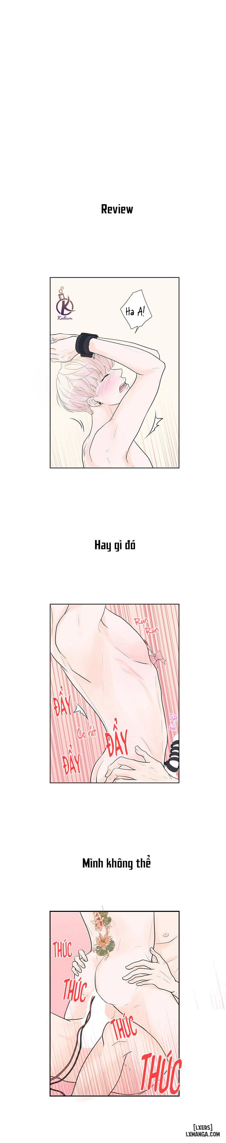 Tò mò về Review ư? - Chap 1 - 13