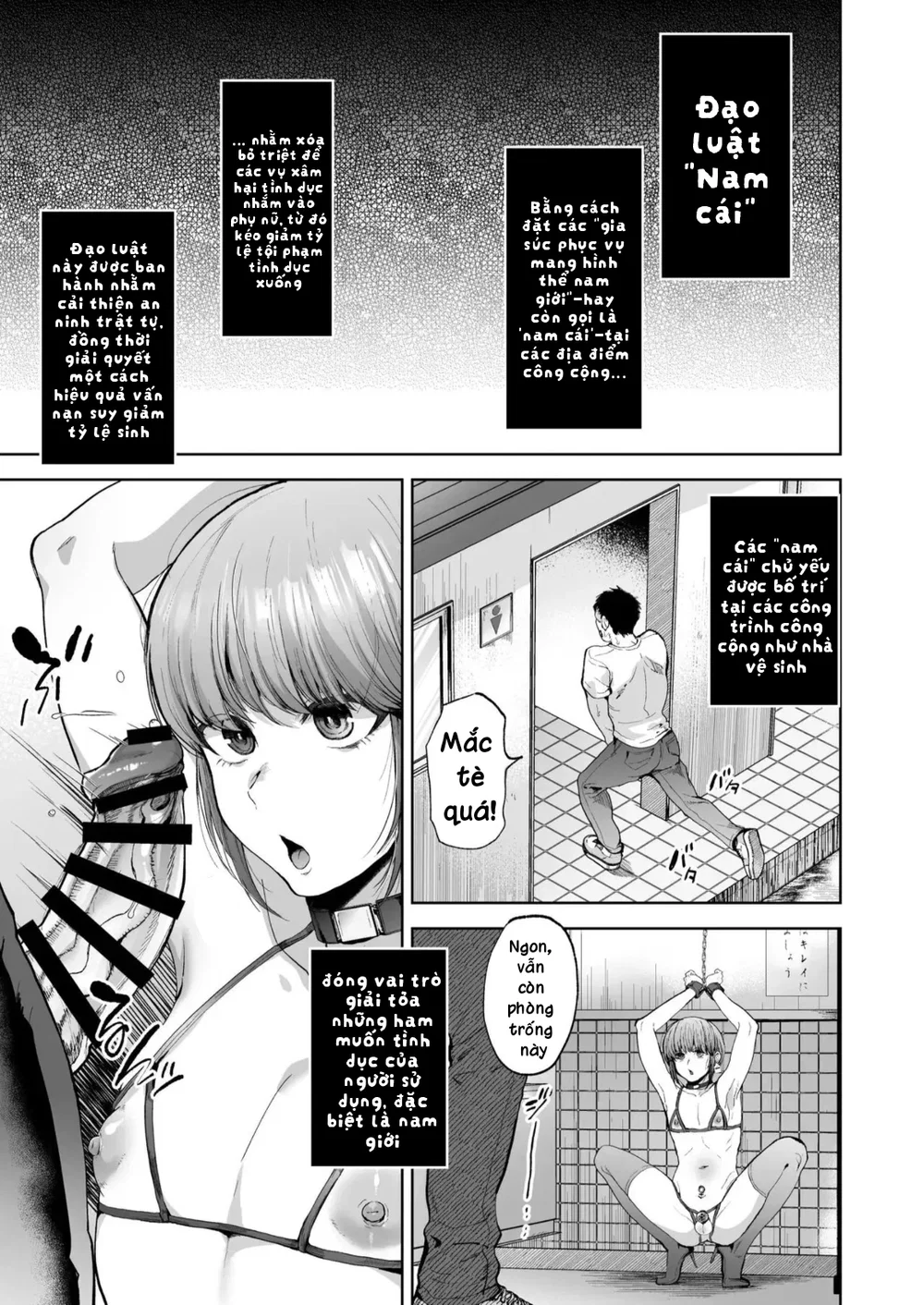 Đạo luật "Nam cái" - Chap 1 - 5