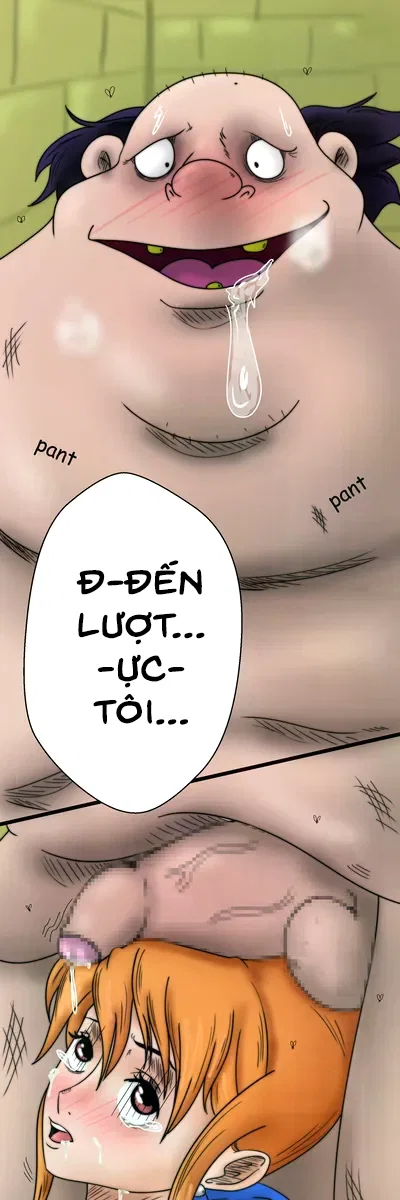 Nami bị làm nhục - Chương 3. Húp - 22