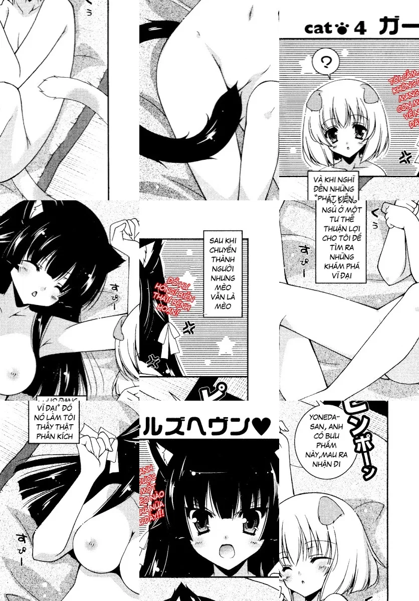 Test m&atilde; h&oacute;a - Chap 4 - 2