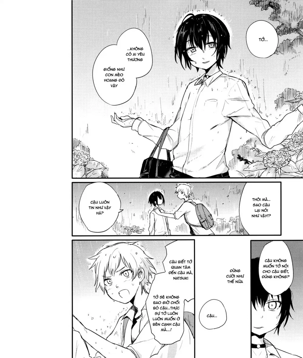 Chú Mèo Lạc Lối Và Những Ngày Mưa Buồn - Chap 1 - 43