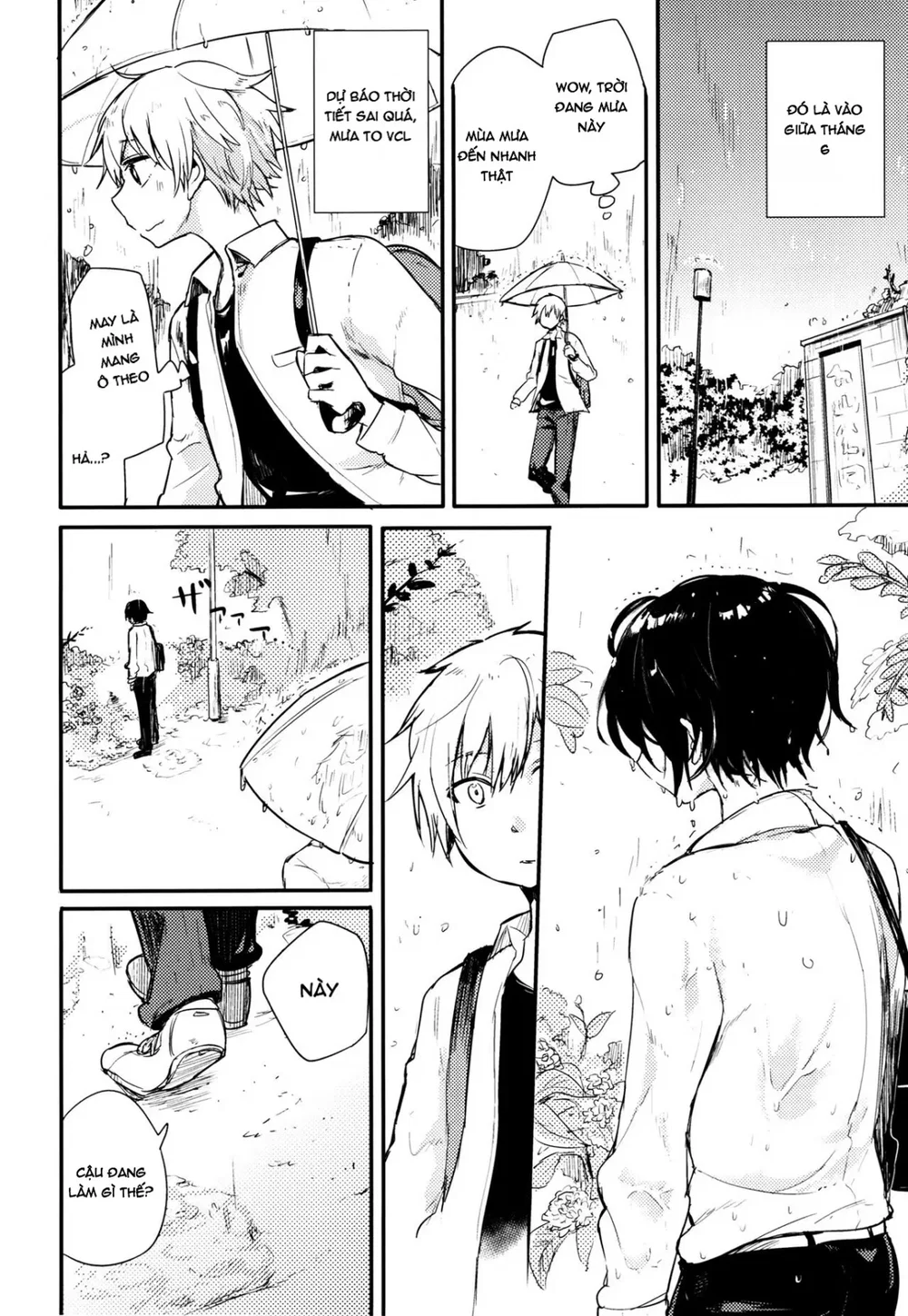 Chú Mèo Lạc Lối Và Những Ngày Mưa Buồn - Chap 1 - 5