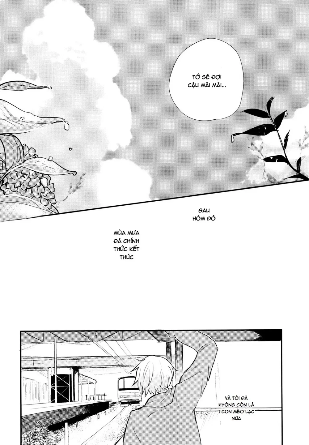 Chú Mèo Lạc Lối Và Những Ngày Mưa Buồn - Chap 1 - 69