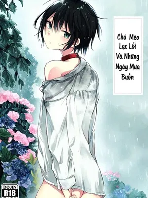 Chú Mèo Lạc Lối Và Những Ngày Mưa Buồn