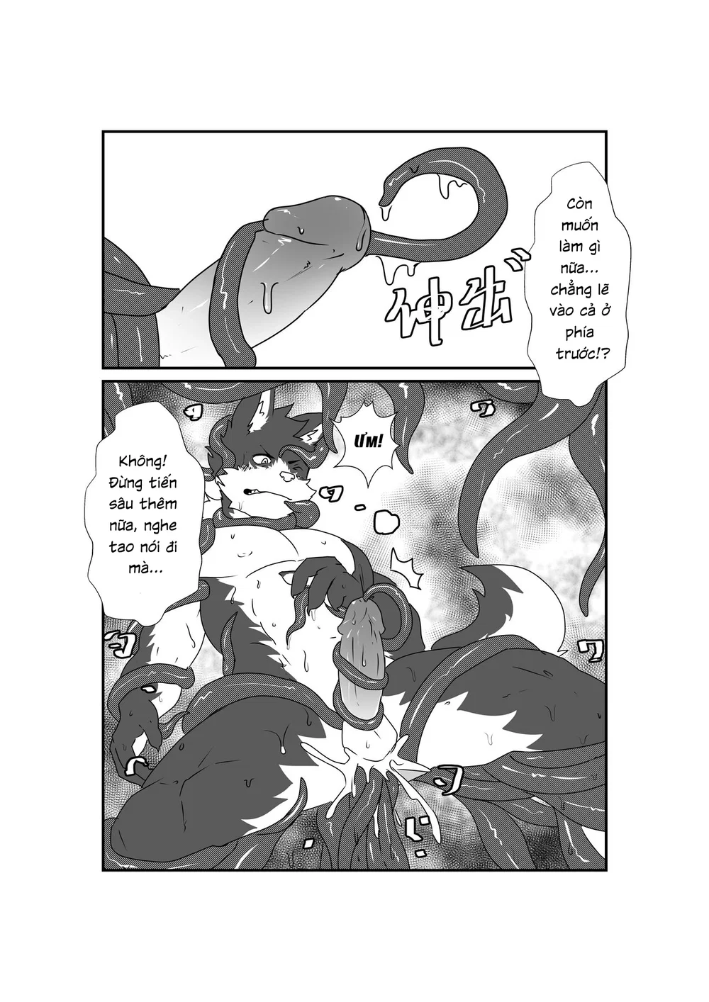 Tổng các bộ furry của khách. - Chap 3 - 12 Tổng các bộ furry của khách. - Chap 3 - 12